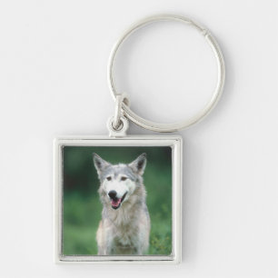 Gray Wolf Sleutelhanger