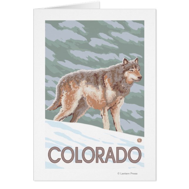 Gray Wolf StandingColorado (Voorkant)