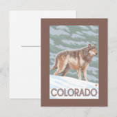 Gray Wolf StandingColorado Briefkaart (Voorkant / Achterkant)