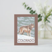Gray Wolf StandingColorado Briefkaart (Staand voorkant)