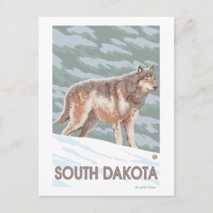Gray Wolf StandingSouth Dakota Briefkaart