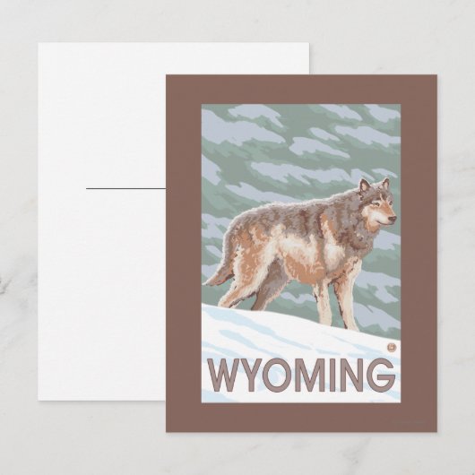 Gray Wolf StandingWyoming Briefkaart (Voorkant / Achterkant)