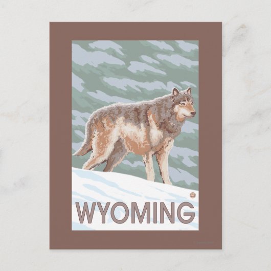 Gray Wolf StandingWyoming Briefkaart (Voorkant)