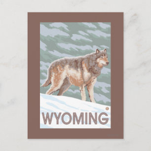 Gray Wolf StandingWyoming Briefkaart