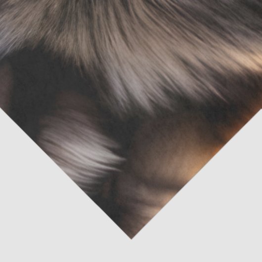 Gray Wolf Stare en paarse bloemen Tissuepapier (Detail)