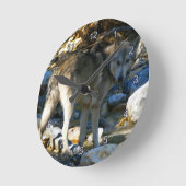 Gray Wolf & Stony Creek Fotoklok Ronde Klok (Hoek)