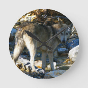 Gray Wolf & Stony Creek Fotoklok Ronde Klok