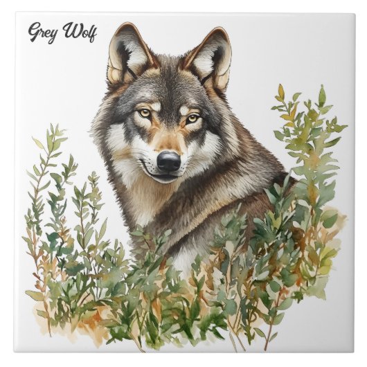 Gray Wolf Tegeltje (Voorkant)