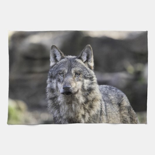 Gray Wolf Theedoek (Horizontaal)