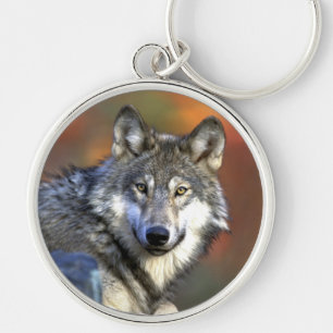 Gray Wolf - Timber Wolf - Red Wolf reeks Sleutelhanger