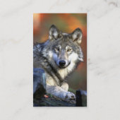 Gray Wolf - Timber Wolf - Red Wolf reeks Visitekaartje (Achterkant)