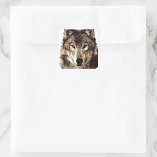 Gray Wolf Vierkante Sticker (Tas)