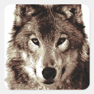 Gray Wolf Vierkante Sticker