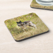 Gray Wolf & Wilderness Foto Gift Bier Onderzetter (Linkerzijde)