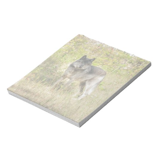 Gray Wolf & Wilderness Foto Gift Notitieblok (Linkerzijde)