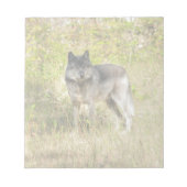 Gray Wolf & Wilderness Foto Gift Notitieblok (Voorkant)