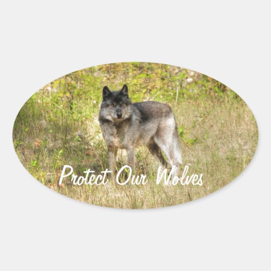 Gray Wolf & Wilderness Foto Gift Ovale Sticker (Voorkant)