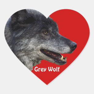 GRAY WOLF Wildlife Heart Sticker Collectie