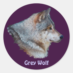 GRAY WOLF Wildlife Sticker Collectie