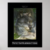 GRAY WOLF Wildlife Support Poster (Voorkant)