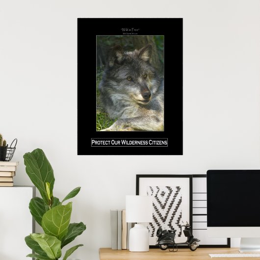GRAY WOLF Wildlife Support Poster (Thuiskantoor)