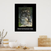 GRAY WOLF Wildlife Support Poster (Keuken)