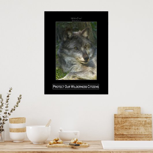 GRAY WOLF Wildlife Support Poster (Keuken)