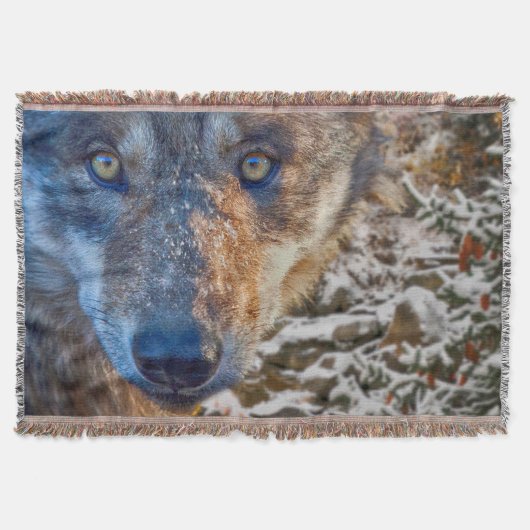 GRAY WOLF WINTER'S RANGER DEKEN (Voorkant)