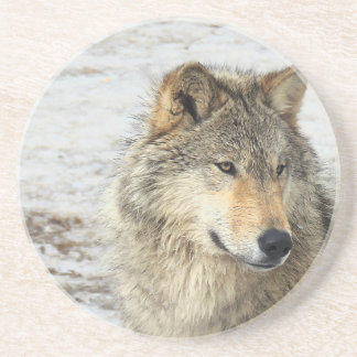 Gray Wolf Zandsteen Onderzetter