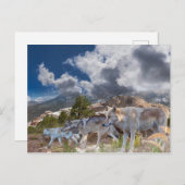 Gray Wolves Family Journey Briefkaart (Voorkant / Achterkant)