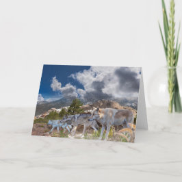 Gray Wolves Family Journey Kaart