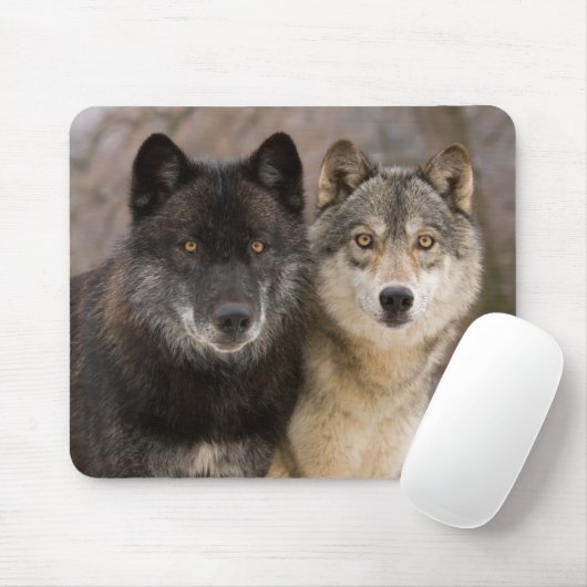 Gray Wolves Muismat (Met muis)