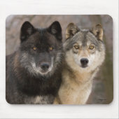 Gray Wolves Muismat (Voorkant)