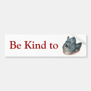Gray Wooly Rabbit Bumpersticker