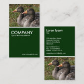 Graylag Geese - Donkergroen Visitekaartje (Voorkant / Achterkant)