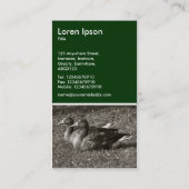 Graylag Geese (Sepia) - Donkergroen Visitekaartje (Achterkant)