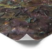 Graysby Poster (Hoek)