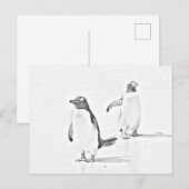 Grayscale Coloring Penguins Antarctisch Briefkaart (Voorkant / Achterkant)