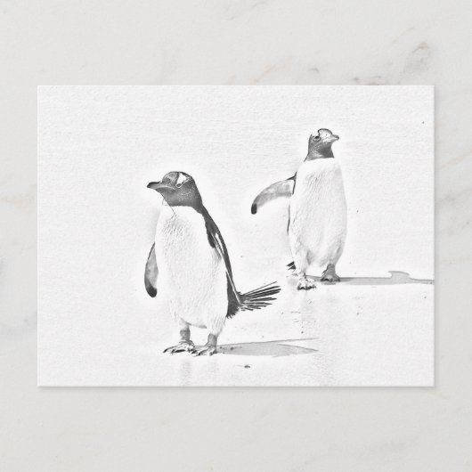 Grayscale Coloring Penguins Antarctisch Briefkaart (Voorkant)