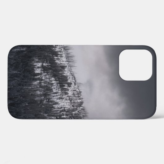 GRAYSCALE FOTO VAN DE TREE Case-Mate iPhone CASE (Achterkant (horizontaal))