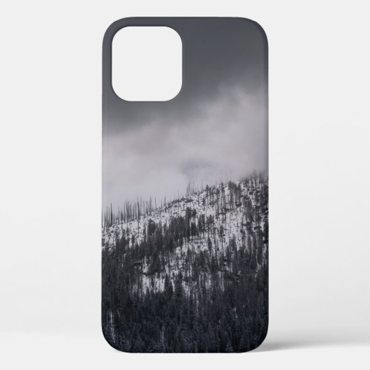 GRAYSCALE FOTO VAN DE TREE Case-Mate iPhone CASE (Achterkant)