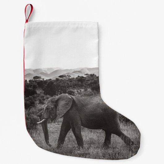 GRAYSCALE FOTO VAN GRAY ELEPHANT NEAR BOMEN KLEINE KERSTSOK (Voorkant)