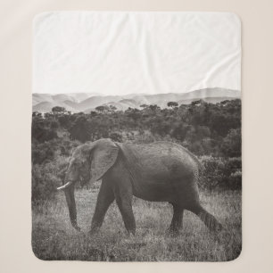 GRAYSCALE FOTO VAN GRAY ELEPHANT NEAR BOMEN SHERPA DEKEN