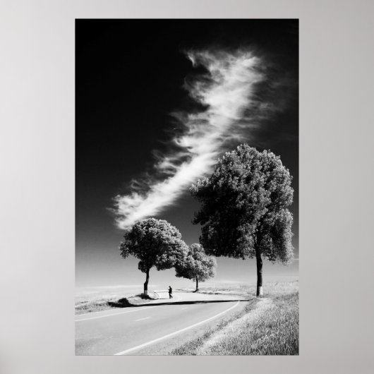 GRAYSCALE FOTO VAN PERSOON OP DE WEG TUSSEN BOMEN POSTER (Voorkant)