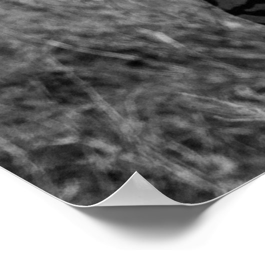 GRAYSCALE FOTO VAN ZEBRAS POSTER (Hoek)