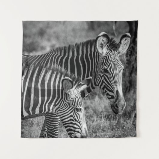 GRAYSCALE FOTO VAN ZEBRAS WANDKLEED (Voorkant)