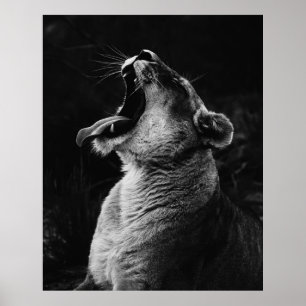 GRAYSCALE FOTOGRAFIE VAN GEDANKTE LIONATIE POSTER