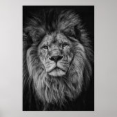 GRAYSCALE FOTOGRAFIE VAN LION POSTER (Voorkant)