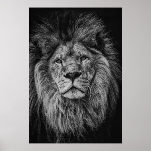 GRAYSCALE FOTOGRAFIE VAN LION POSTER (Voorkant)