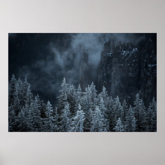 GRAYSCALE FOTOGRAFIE VAN MOUNTAIN EN BOMEN DEKKEN POSTER (Voorkant)